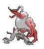 zoroark-hisui.gif