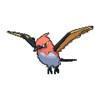 fletchinder.png fletchinder.png