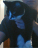 mag.png