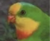 1667838649678.png