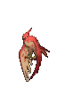 Talonflame_Shiny_XY.gif