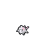 Cetoddle.png