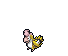 Squawkabilly-Yellow.png