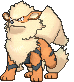 Arcanine.gif