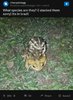871f0fee0ae7d965c1a2d922b5faaee1.jpg