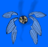 water bug 2.png