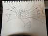 IMG_2841.jpeg
