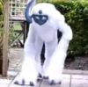 1691087508901.png