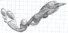 head+arm0001.jpg