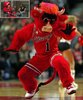 chicago bulls (luser).jpg