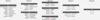 upper r4.png