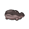 clodsire.gif clodsire.gif