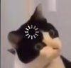 1702730791678.jpeg