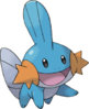 mudkip.jpg mudkip.jpg
