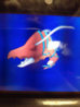 upload_2014-1-4_17-44-50.png