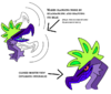 CAP 34 Supporting Material.png CAP 34 Supporting Material.png