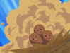 Katie_Dugtrio_Double-Edge.png
