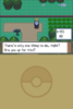 Pokemon - Platinum Version (USA) (Rev 1)__25335.png