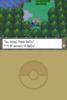 Pokemon - Platinum Version (USA) (Rev 1)__21107.png