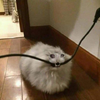 1713625664797.png