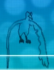 MOLTERS.png