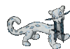 chien-pao-ezgif.com-speed.gif