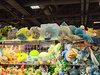 P_20240804_124614.jpg