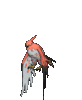 talonflame.gif