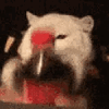 tenor.gif