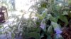 WIN_20160829_12_07_46_Pro.jpg