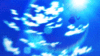 amega.gif