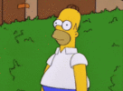 homer hedges.gif