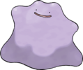 IMG_1726.png