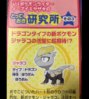 Pokemon SM have mega 1.jpg