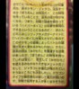 Pokemon SM have mega 2.jpg