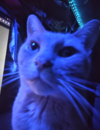 1736740906532.png
