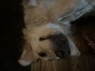 IMG_0854.jpeg