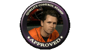 sputnik_qc.gif