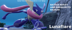 banner2.png