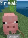 pig unleash.jpeg