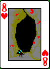 Pokemon cards (picas completas)-54.png.png