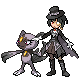 zinnia.png