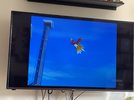 IMG_7826.jpeg