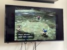 IMG_7985.jpeg
