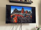 IMG_8300.jpeg