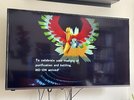 IMG_8323.jpeg
