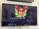 IMG_8325.jpeg