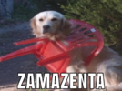1750632501201.png