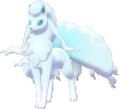 IMG_3360.gif