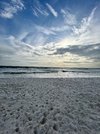 IMG_4003.jpeg